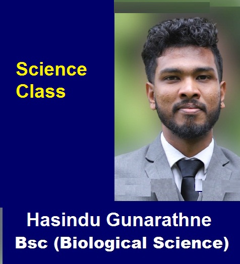  Grade 6,7,8, 9 / සිංහල මාධ්‍යය /Science  විද්‍යාව / Hasindu Gunarathne / Room 20